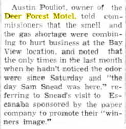 Deer Forest Motel (Sleepy Hollow Motel) - July 1973 Smell From Local Mill